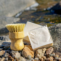 Dish Bar Soap