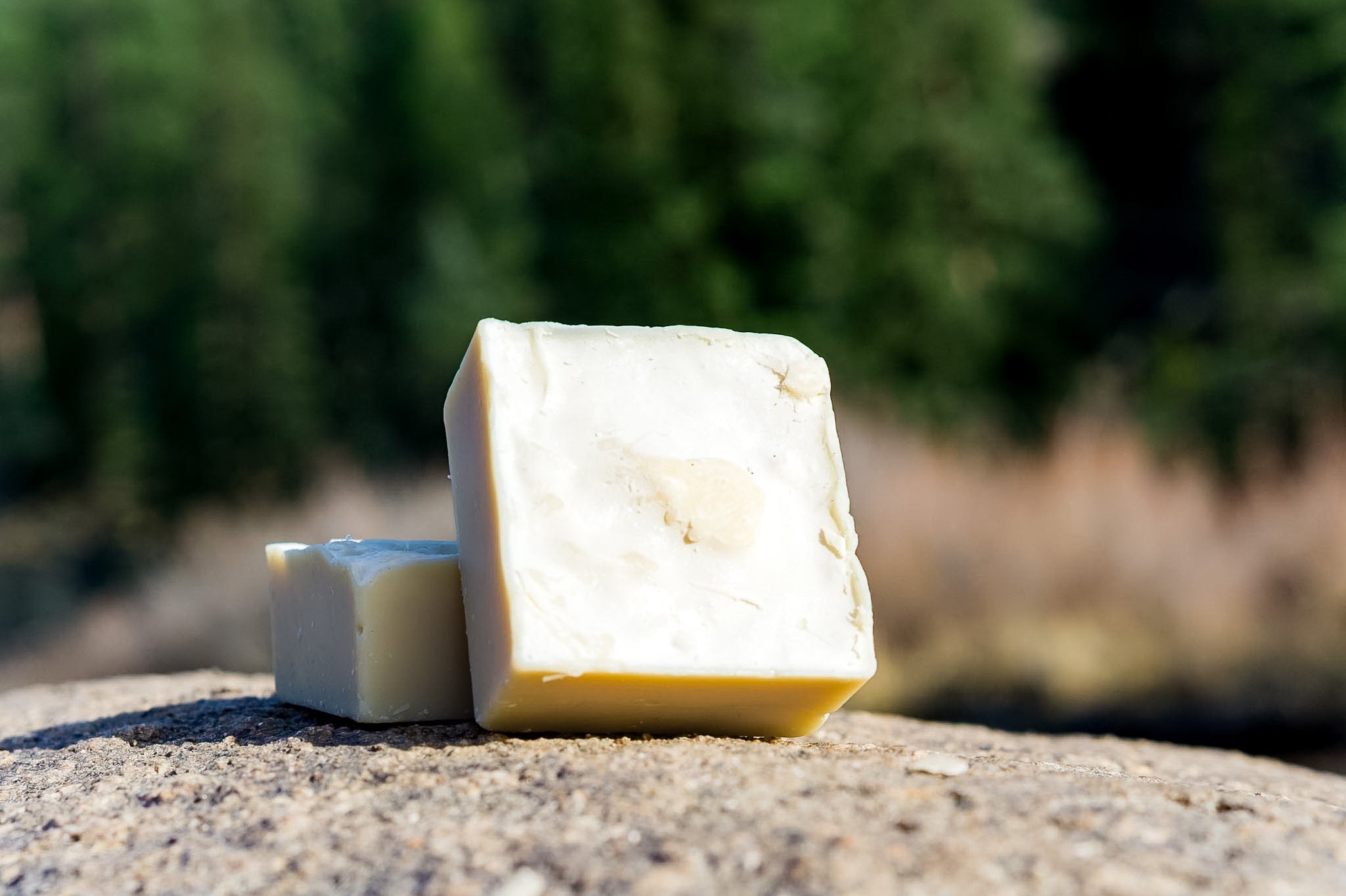 Dish Bar Soap